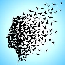 Image result for Freedom