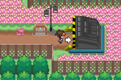 If you are at dinner that . Pokemon Life Download Informations Media Pokemon Gba Rom Hacks