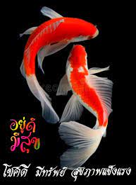 ป กพ นโดย sakda ใน sawasdee สว สด ตอนเช า