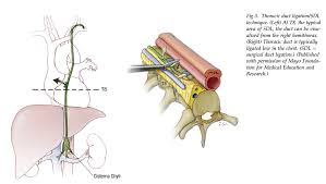 Http Www Solunum Org Tr Solunum2018 Konusmaci Son Pdf
