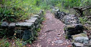 There are a couple of water bodies around the hiking trail. Cranberry Lake Preserve Loop New York New Jersey Trail Conference