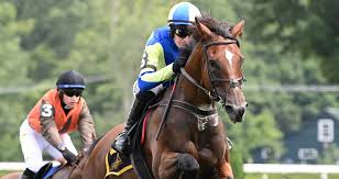 Image result for Handic 1600