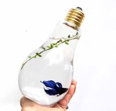 Light Bulb Display Bowl Lightbulb Jar Desktop Glass Jar Etsy Light Bulb Jar Bulb Light Bulb Fish
