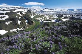 海遊館 アリューシャン列島 ラッコ(sea otter：イタチ科) その3 ラッコは良質の毛皮を持つために乱獲されたが、現在は保護政策によって数が回復しつつある。 ←back next→ アリューシャン列島 トップにもどる 海遊館トップにもどる ã‚¢ãƒªãƒ¥ãƒ¼ã‚·ãƒ£ãƒ³åˆ—å³¶ã¨ã‚«ãƒ ãƒãƒ£ãƒƒã‚«ã®å…ˆä½æ°'ã¨ãƒ­ã‚·ã‚¢ã«ã‚ˆã‚‹çµ±æ²» å¾Œè—¤å'Œå¼˜ã®ãƒ–ãƒ­ã‚°