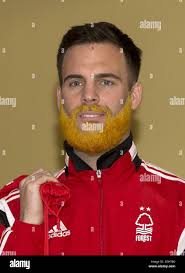 Quirky fox hi-res stock photography and images