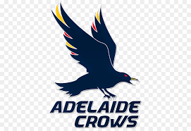 The adelaide football club has hit rock bottom. Person Logo Png Download 448 620 Free Transparent Adelaide Football Club Png Download Cleanpng Kisspng