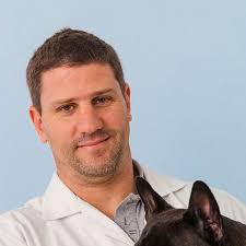 Veja quem Cuida do seu Cão em Nosso Hotel e Consultório