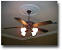Bladeless Ceiling Fan