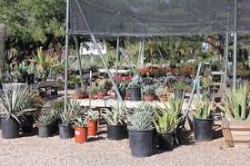 Discover north scottsdale and the rest of the north east valley using our interactive map and direct mls connection. North Scottsdale Nursery