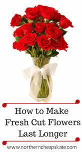 We believe the experience of sending flowers should be as much fun for you, as it should be for the recipient. Pin On Cheap Tricks Northern Cheapskate