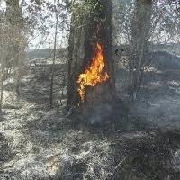 Resultado de imagen para fotos de incendios en santiago rodriguez en la cordillera central