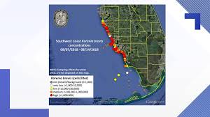 Rumble — florida fish and wildlife officials put out this map, which shows red tide is present in high levels in collier, lee, charlotte, sarasota and manatee counties. Red Tide Forecast Fwc Releases New Map Respiratory Issues Reported In Pinellas County Wtsp Com