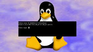 Image result for new linux penguin