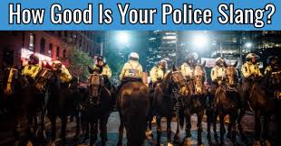 Do you know much about the rules and history of law enforcement? How Good Is Your Police Slang Quizpug