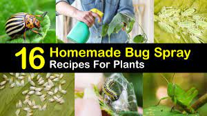 Homemade garlic mint garden insect spray. 16 Do It Yourself Bug Spray Recipes For Plants