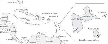Saint vincent is home to endemic birds including the lesser antillean tanager, the whistling warbler, and the saint vincent amazon. Where Are The Caribs Ancient Dna From Ceramic Period Human Remains In The Lesser Antilles Philosophical Transactions Of The Royal Society B Biological Sciences