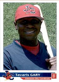 2003 Johnson City Cardinals Grandstand 6 Tavaris Gary Fort Myers Florida FL  Card