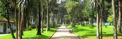 La muuchatena o la fiesta de los san juanitos, es una celebración en la costa central de nayarit con la que el pueblo conmemora este sitio sagrado. La Macarena To Parque Nacional Bogota Audio Tour Voicemap