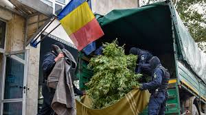 Un pas pentru legalizarea cannabisului medicinal în românia. Liber La Canabis In Romania Da Dar Nu Chiar Ue A Decis Ce Se Poate Face