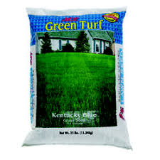 Is kentucky bluegrass really blue? Grass Seed Fast Growing Organic Seeds At Ace Hardware