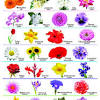 Maybe you would like to learn more about one of these? 3