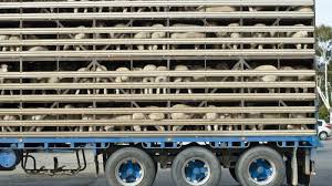 And we actually charge just by region. Meps Join Call For Ban On Live Animal Transport Amid Covid 19 Border Delays Euractiv Com