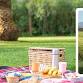 Picnics at ASARA event image
