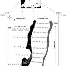 Browse the use examples 'caulker' in the great english corpus. Pdf Is Untreated Sewage Impacting Coral Reefs Of Caye Caulker Belize