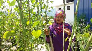 Savesave tugas dan wewenang lembaga negara for later. Facebook