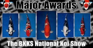 Major Awards