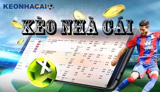 How to Read Kèo Nhà Cái Like a Professional Bettor