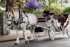 Victoria Horse Carriage Rides in 2026 ...