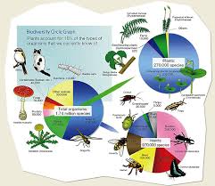 Image result for organisms and their environment
