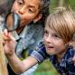Wildlife Bioblitz at Wetherby Edible Forest