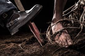 A fleur de pot Photographie