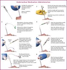 Image result for Medication Route