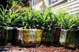 Maybe you would like to learn more about one of these? Turn Your Empty Wine Bottles Into A Miniature Garden Kim Bettasso Com