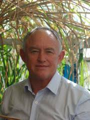 Honorary Professor Frederik Botha