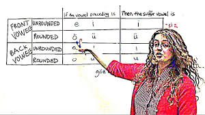 Turkish Phonology Vowel Harmony