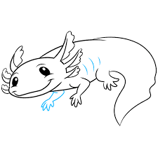 How to take care of an axolotl. How To Draw An Axolotl Really Easy Drawing Tutorial