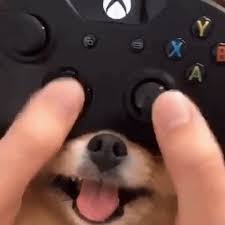 Pin on naruto shippuden, nartuto, anime wallpapers. Xbox Gifs Get The Best Gif On Giphy