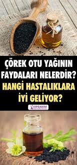 Corek Otu Yaginin Faydalari Nelerdir Corek Otu Yagi Nasil Kullanilir Corek Faydalari Kullanilir Nasil Nelerdir Otu Yagi Otlar Corek Otu Dogal Saglik