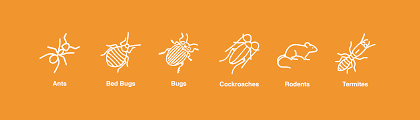 You don't want to miss out on protecting your home with the best professional services in the area. About Us Advance Pest Solutions