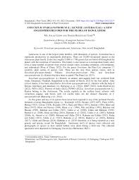 Image result for Struchium