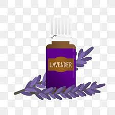 Lavender Essential Oil PNG, Vector, PSD, and Clipart With Transparent  Background for Free Download | Pngtree