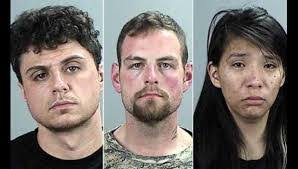 Joseph Plemel's Instagram, Twitter & Facebook