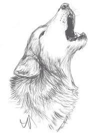 Free shipping on many items | browse your favorite brands | affordable prices. 1001 Ideas And Inspiration On How To Draw Animals