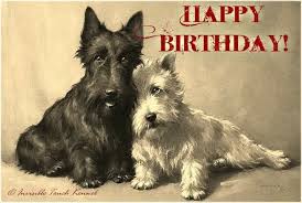 Pin By Tam Francis On Chiens Westies Scotties Et Cairn Scottish Terrier Terrier Dogs Terrier