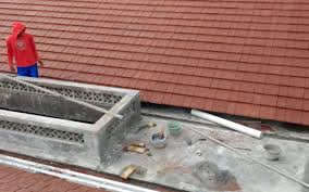 Cara merawat burung anis, burung anis merupakan burung yang sangat banyak sekali peminatnya pisahkan anis merah satu dengan yang lain. Cara Membuat Talang Air Beton Anti Bocor Lacak Harga