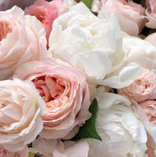 Taking good care of your flowers can prolong their life and keep them looking their best. How To Care For Fresh Flowers